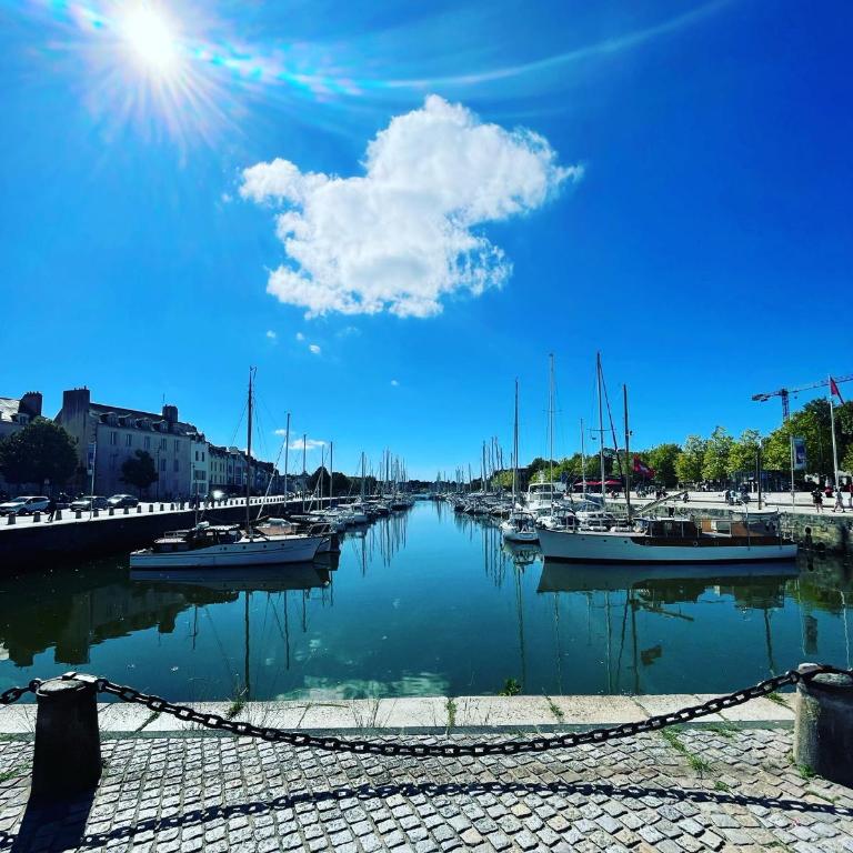 TiLaouen - Location de vacances, idéalement située au port de Vannes ! - Casa Vacanze - 19
