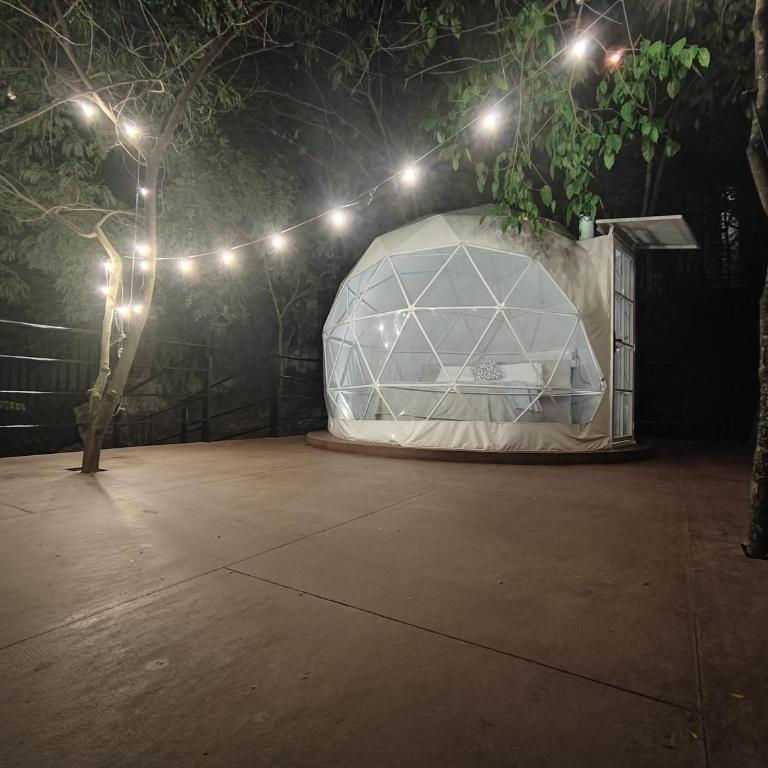 Glamping romantico en Vista Hermosa disfruta de la naturaleza en un ambiente privado y acogedor - Bungalow Deluxe - 17