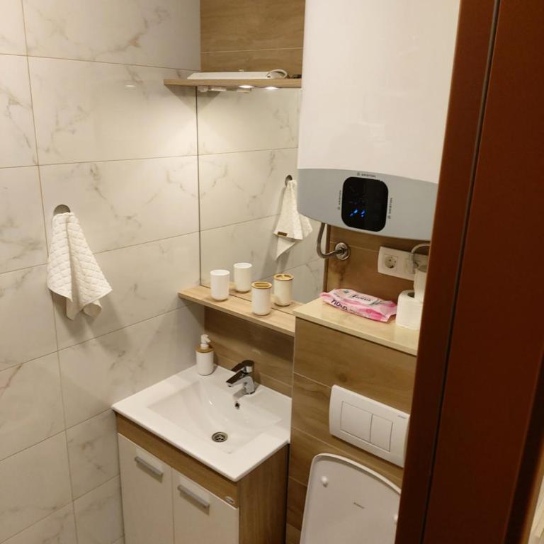 Sarajevo City Center Apartment - Apartman sa 1 Spavaćom Sobom - 6