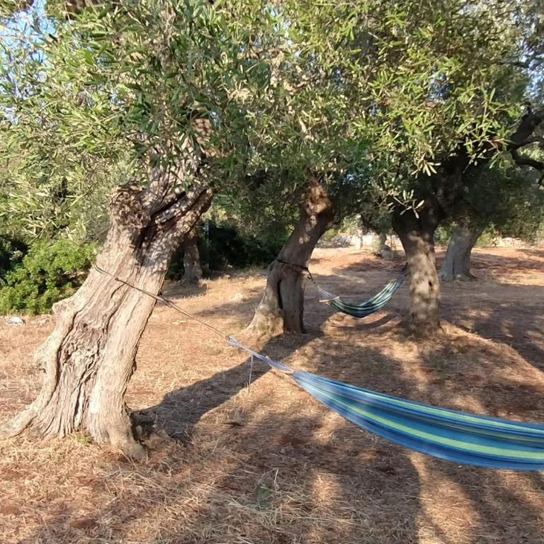 Casa Centopezze - Casa con 3 Camere da Letto - 23
