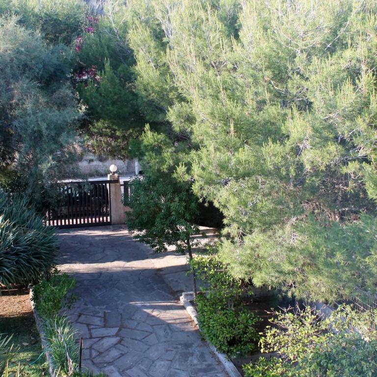 Villa Eva sul Mare area "A" - Villa - Beach Front - 29