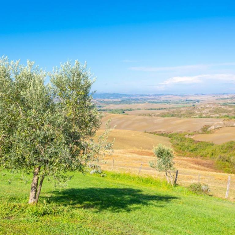 Villa Podere Belvedere - Villa - 55