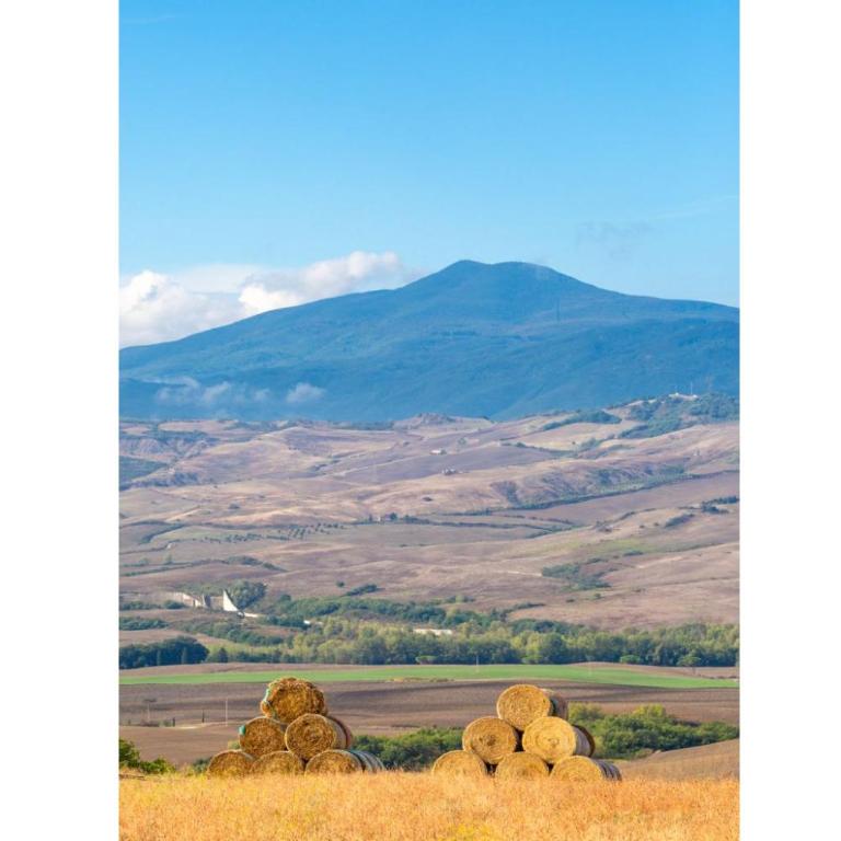 Villa Podere Belvedere - Villa - 56