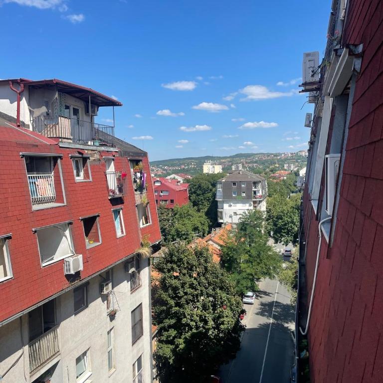 Charming studio near downtown - Studio - 5