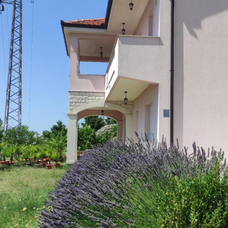 Sun garden apartment - Premium Apartman sa 1 Spavaćom Sobom - 2