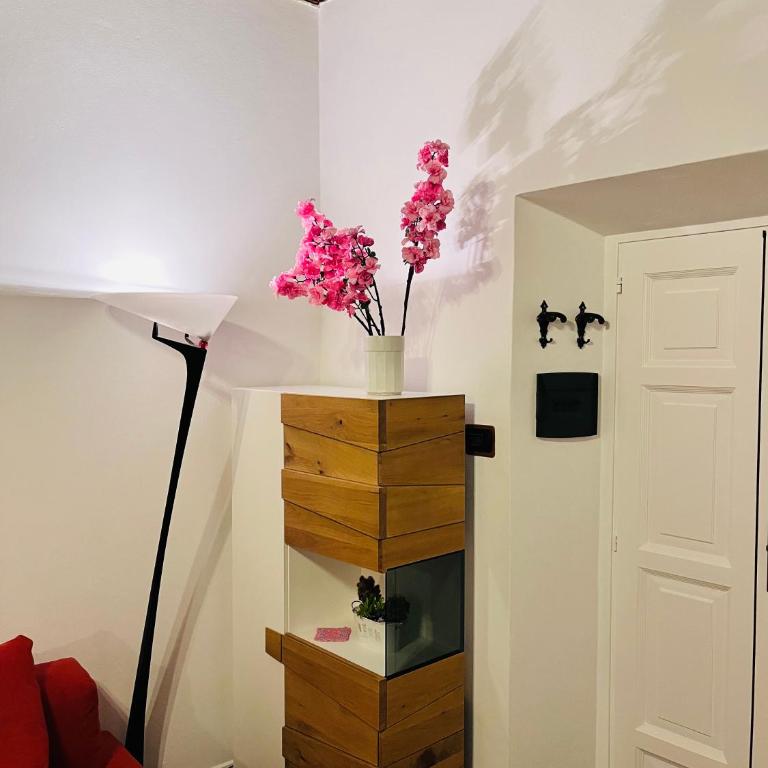 Historic Alex Castle Apartment Lake Como - Appartamento Superior - 19