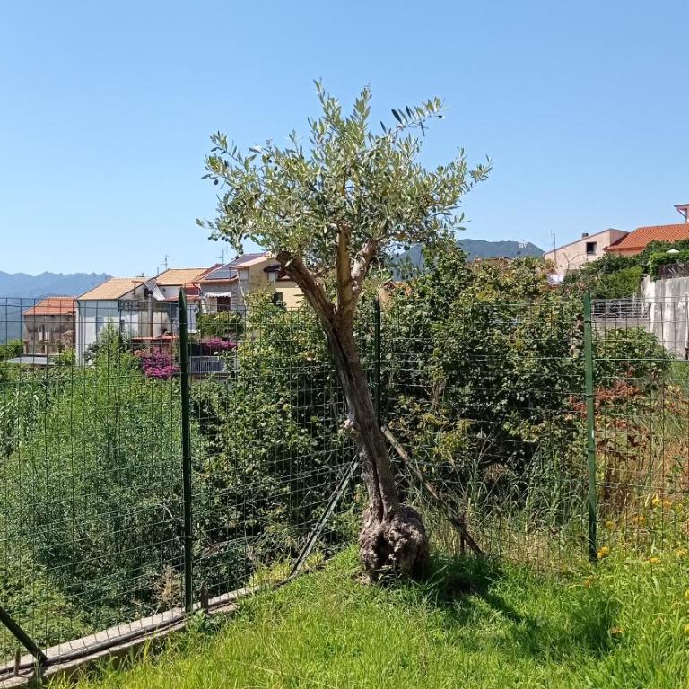 GATTI e MARE - Casa con 2 Camere da Letto - 31