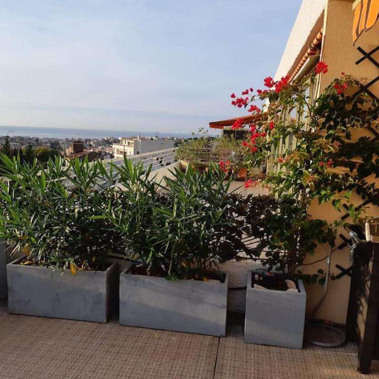 Studio avec grande terrasse ,et vue mer sur la baie de Cannes - Appartement 1 Chambre - 21