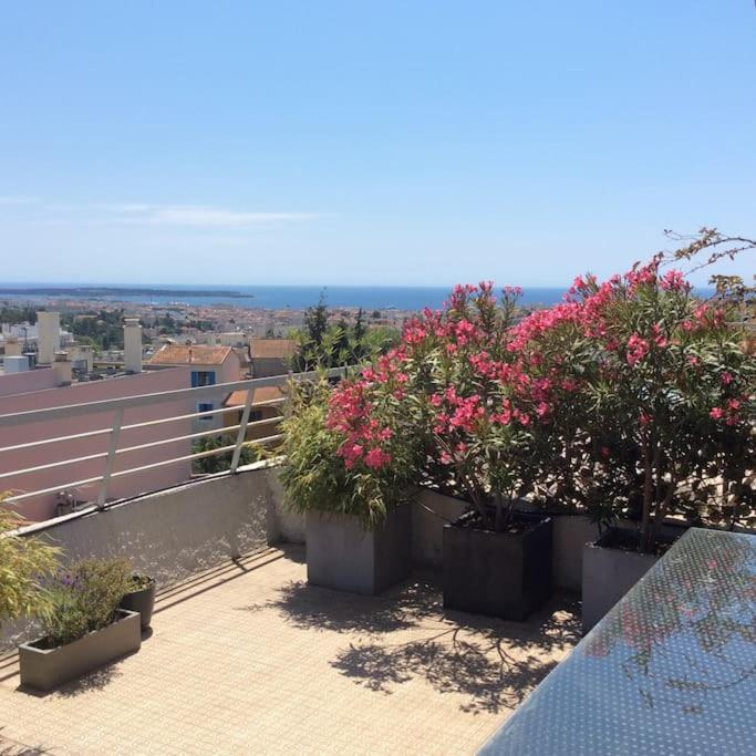 Studio avec grande terrasse ,et vue mer sur la baie de Cannes - Appartement 1 Chambre - 29