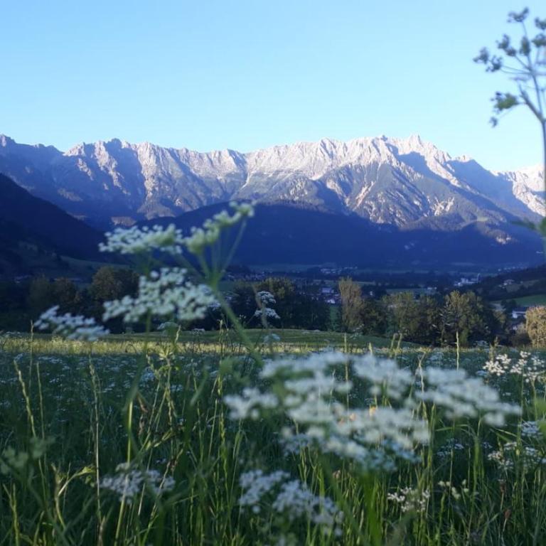 Apartment Millauer - Apartment mit Blick auf die Berge - 14