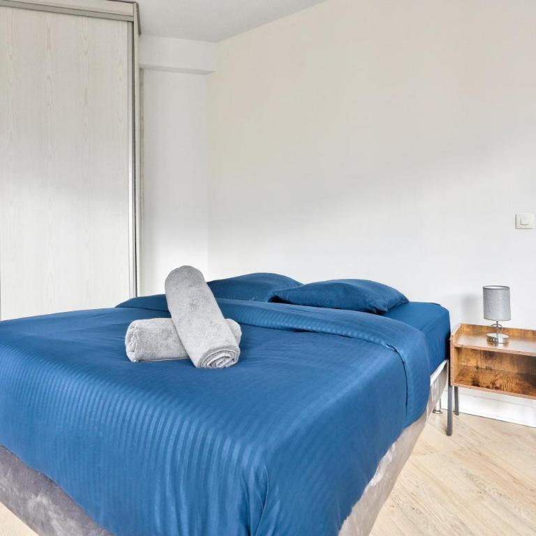 Appartement Quartier Republique - Appartement avec Douche - 15