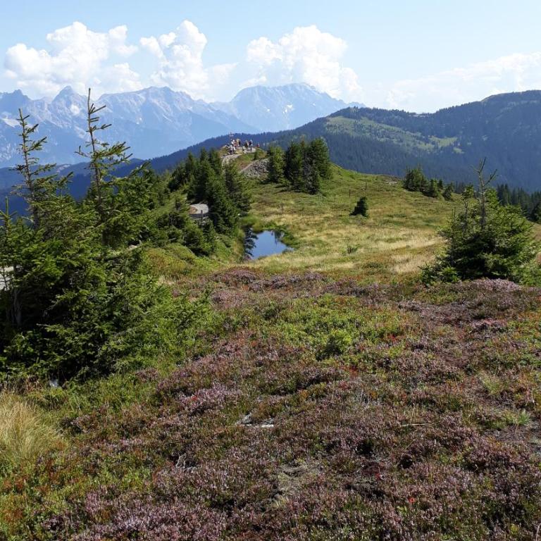 Apartment Millauer - Apartment mit Blick auf die Berge - 36