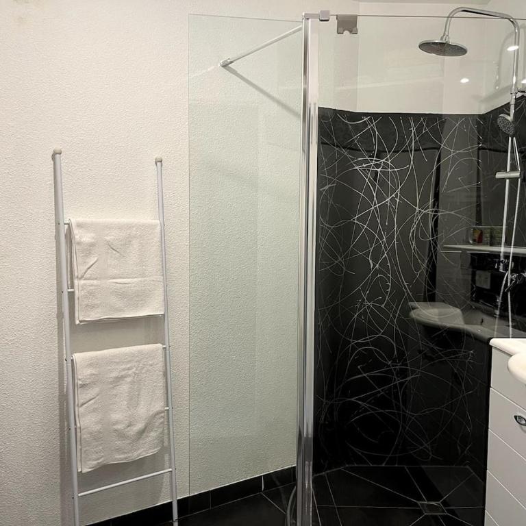 bel appartement climatisé centre - Appartamento con 2 Camere da Letto - 2