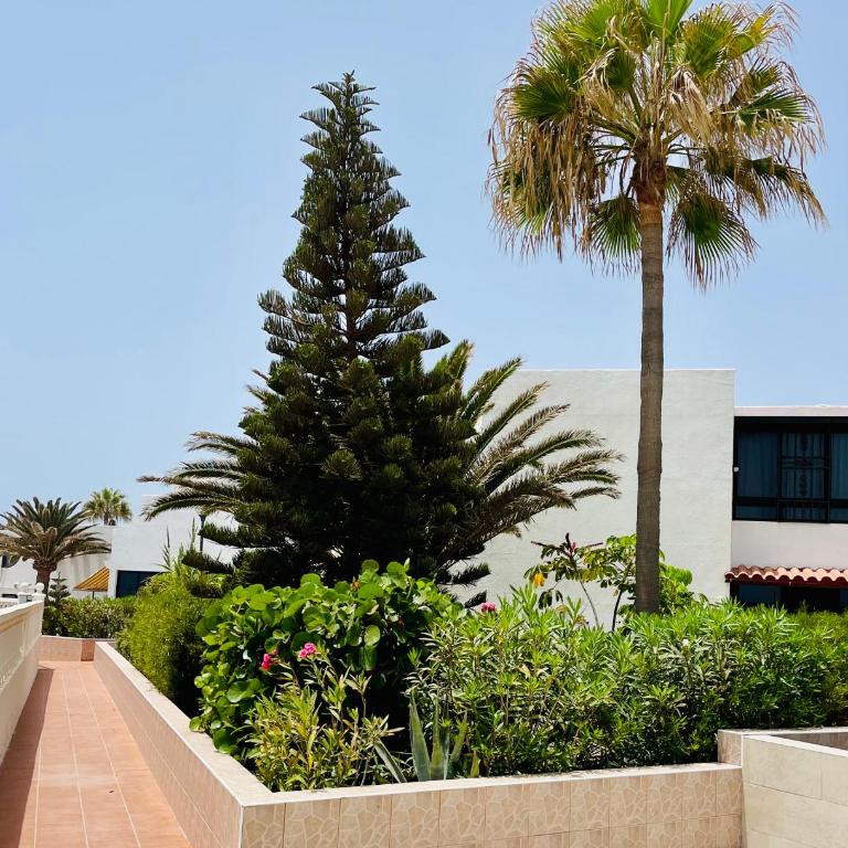 Aloha - Costa del Silencio - Apartamento de 1 dormitorio - 17
