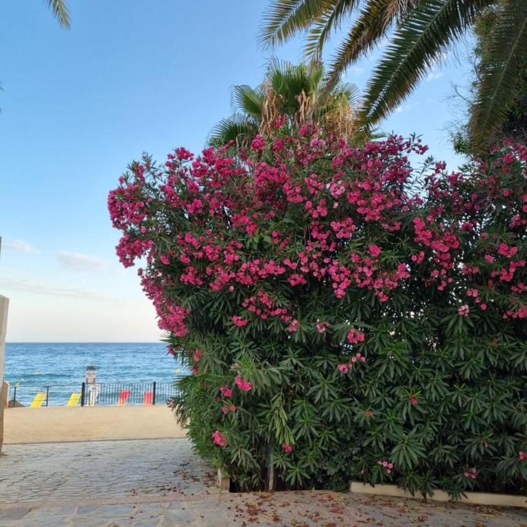 TOPLAGE Marbella Neubau Luxus-Apartment, Strand und Altstadt in Minuten zu Fuss - Two-Bedroom Apartment - 46