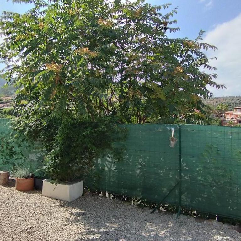 Studio indépendant dans màs provençal - Studio - 4