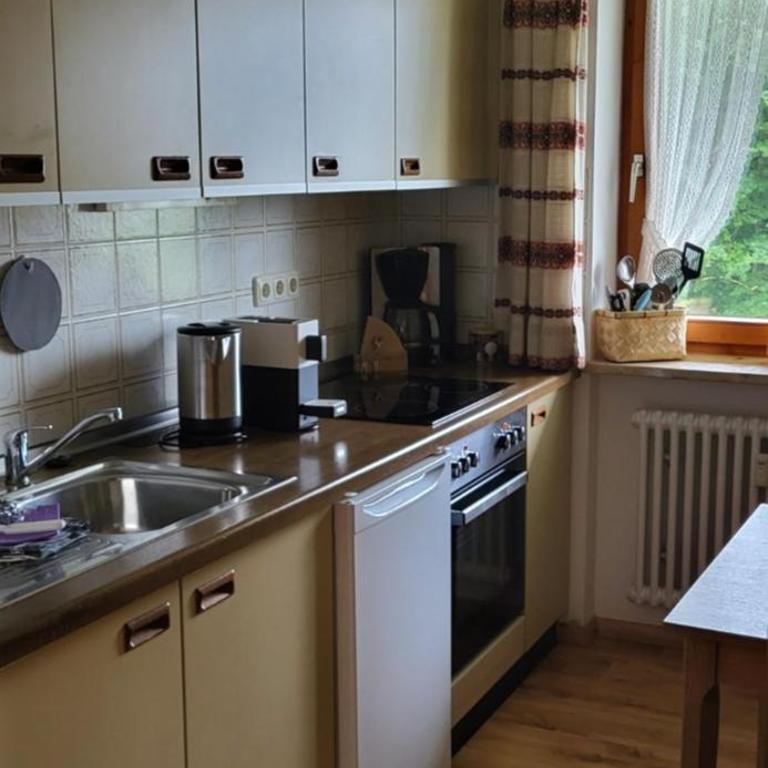 Ferienwohnung Almruhe mit Pool und Sauna & direkt am Skilift - One-Bedroom Apartment - 8