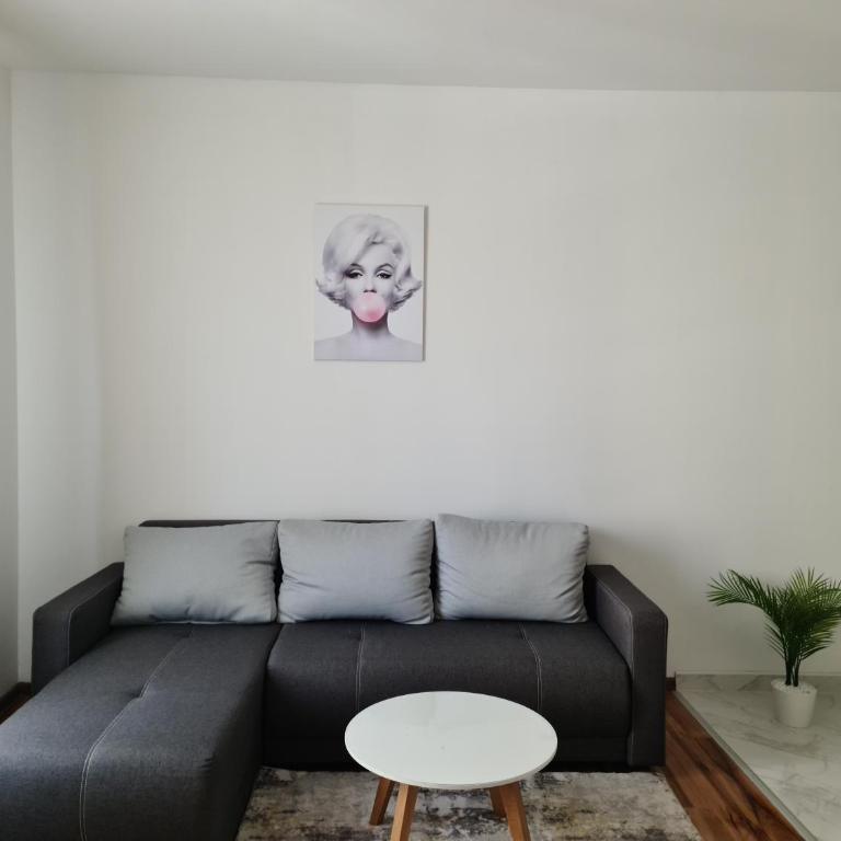 Iva&Niki Ledine - Apartman sa 1 Spavaćom Sobom - 4