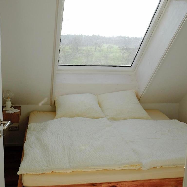 Trautesheim Ferienwohnungen - Apartment - 24