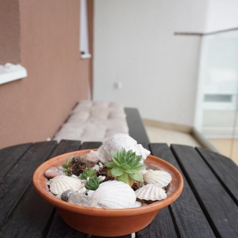 Apartman_Krstić_1 - One-Bedroom Apartment - 24