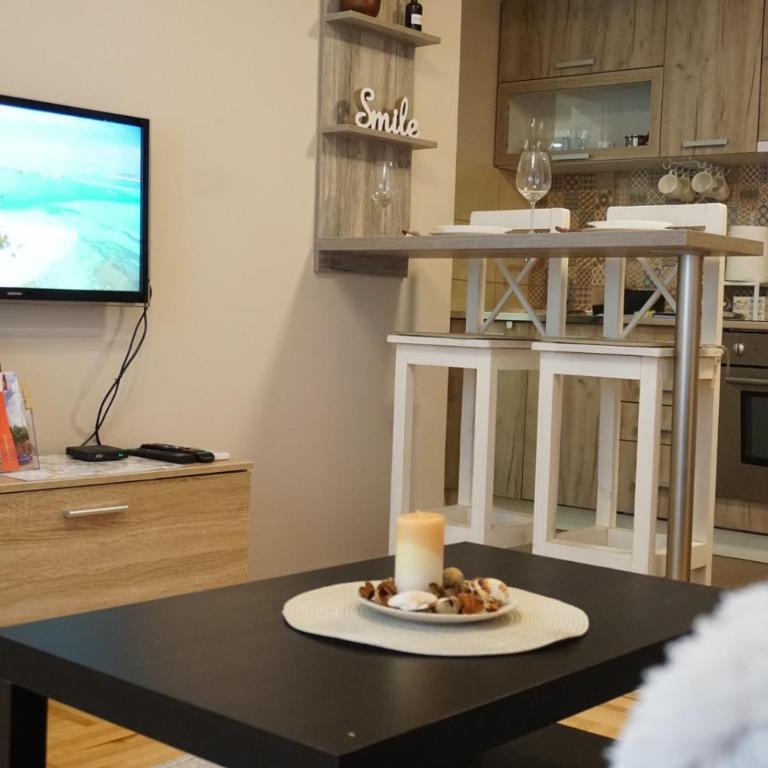 Apartman_Krstić_1 - One-Bedroom Apartment - 2