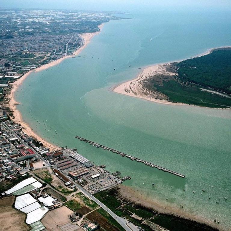 APTARTAMENTO DOÑANA RECIEN REFORMADO Parking gratis - Apartamento - Planta baja - 68