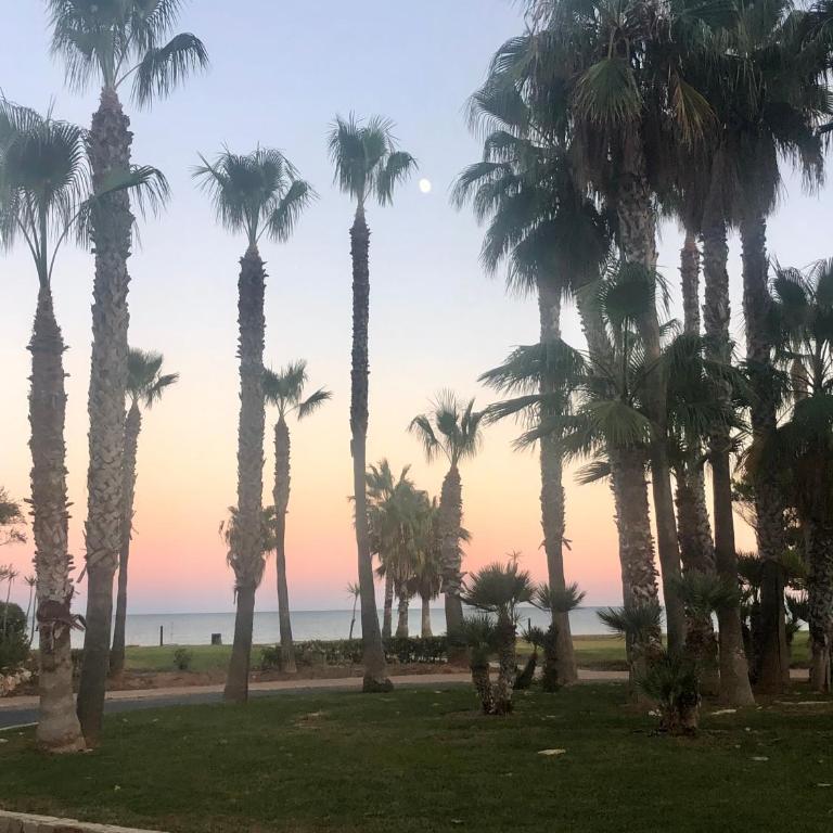 Marina Dor Primera Linea - Apartamento de 1 dormitorio - 35