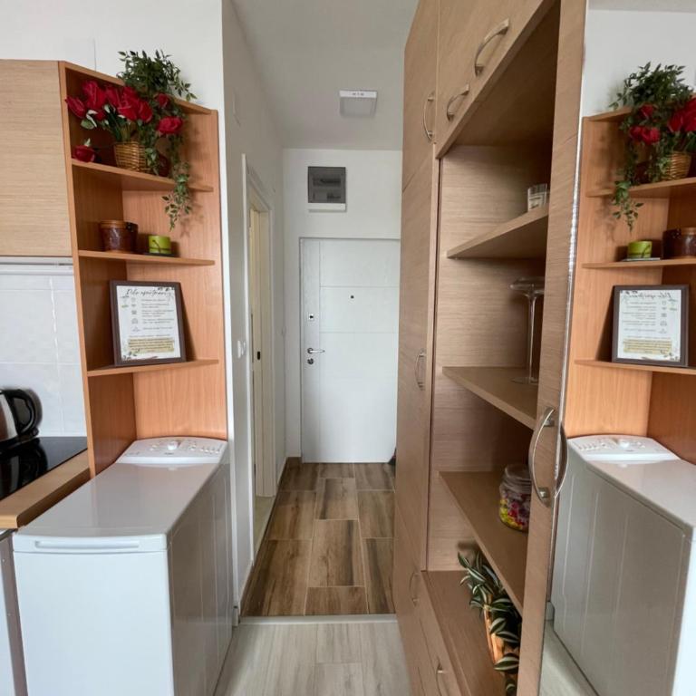 Apartman Pile 2 - Apartman sa 1 Spavaćom Sobom - 4