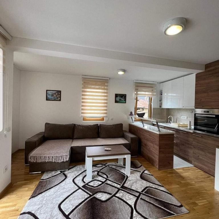 Apartmani Sanja Lux - Apartment with Terrace - 4