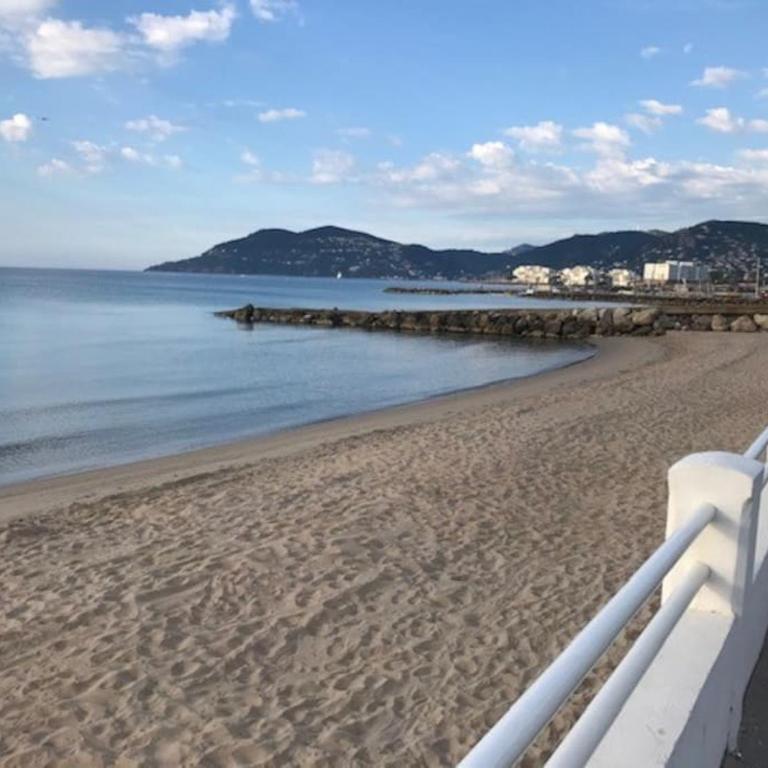 Perle rare 2 pièces au pied de la plage et piscine résidence - One-Bedroom Apartment - 12