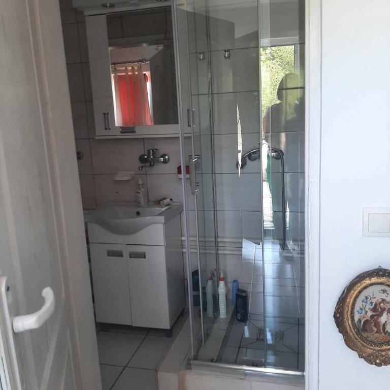 Apartmani Lukic 2 - Apartman sa 1 Spavaćom Sobom - 5