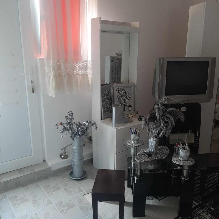 Apartmani Lukic 2 - Apartman sa 1 Spavaćom Sobom - 9