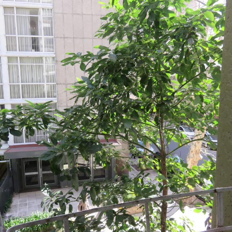 Oasis Palermo Soho - Apartamento de 1 dormitorio - 16