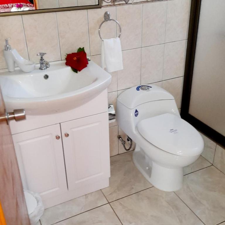 Hostal Makohe Rapa Nui - Habitación Deluxe - 1 cama grande - 18
