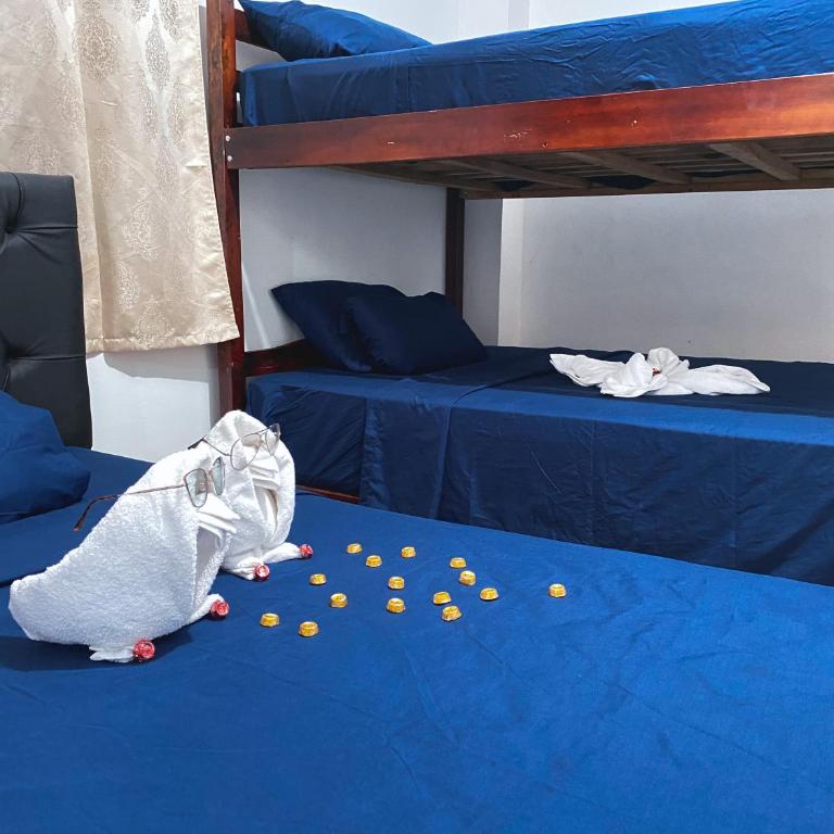 Blue Horizon - Galápagos Home - Apartamento de 2 dormitorios - 21