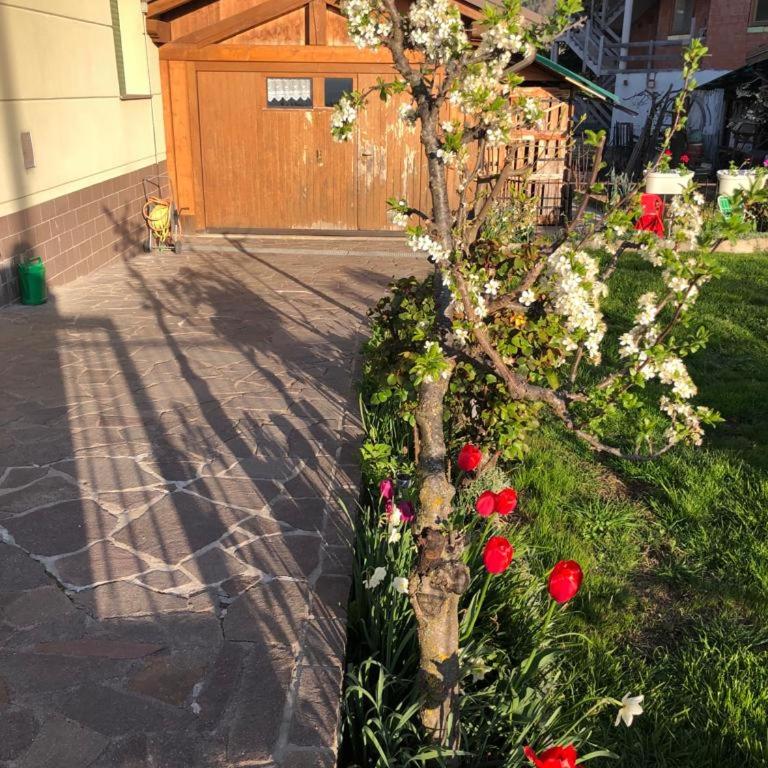 Appartamento luminoso, giardino, vista Dolomiti. - Appartamento con 2 Camere da Letto - 26