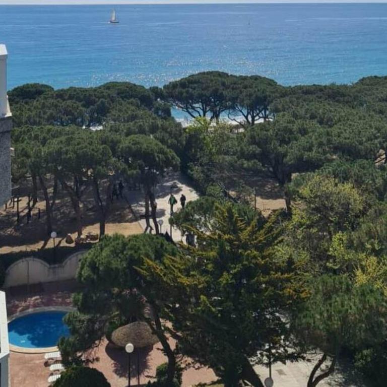 Bravaholidays-150 Windsor - Apartamento de 1 dormitorio - 4