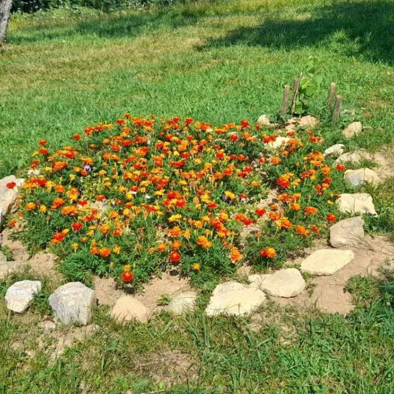 Aura natura - Kuća sa 1 Spavaćom Sobom - 25