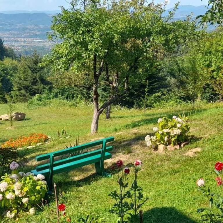 Aura natura - Kuća sa 1 Spavaćom Sobom - 16