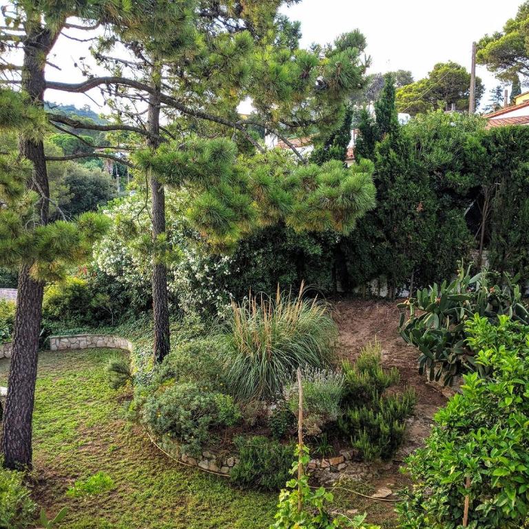 Casa estrella - Villa de 3 dormitorios - 37