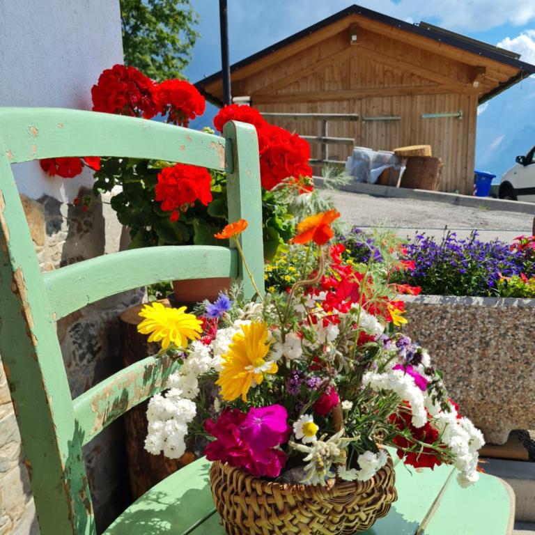 Piccola Suite sul Civetta - Appartamento con 1 Camera da Letto - 4
