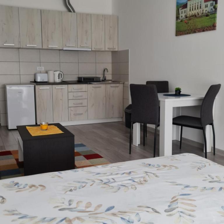 Studio apartmani Banja Koviljaca - Studio - 9