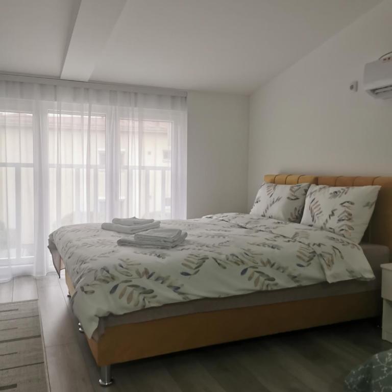 Studio apartmani Banja Koviljaca - Family Studio - 15
