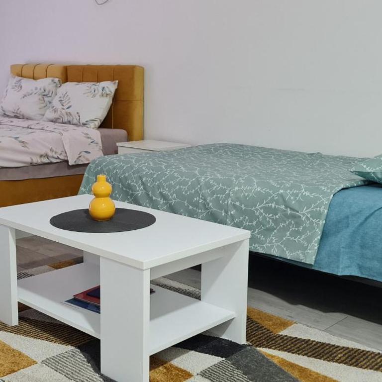 Studio apartmani Banja Koviljaca - Family Studio - 16