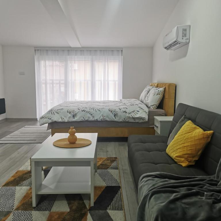 Studio apartmani Banja Koviljaca - Family Studio - 17
