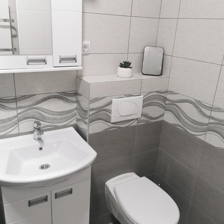 Studio apartmani Banja Koviljaca - Studio - 16