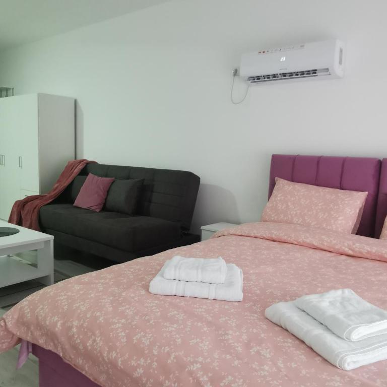 Studio apartmani Banja Koviljaca - Studio - 17
