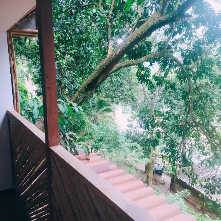 Kakuna Lodge - Habitación Doble con balcón (3 adultos) - 2