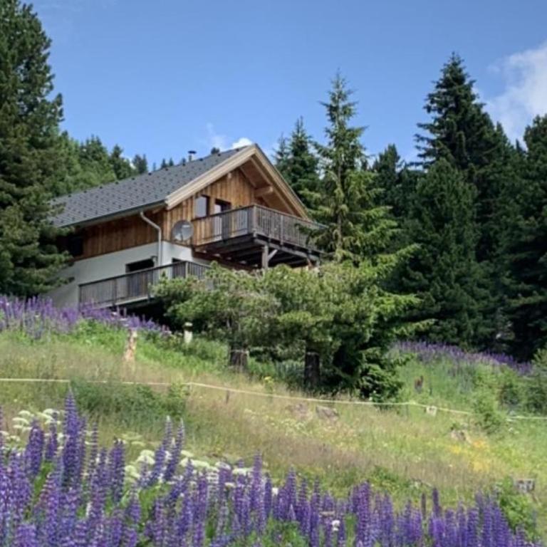Chalet Claassen - Ferienhaus mit 4 Zimmern - 25