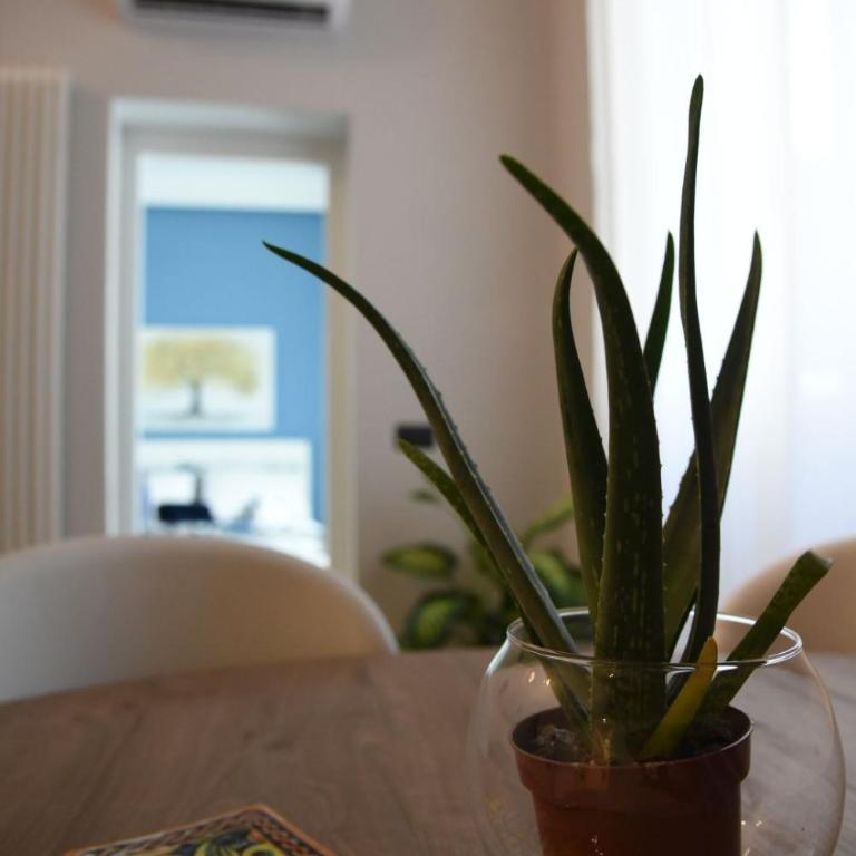 Al Massimo apartment - Appartamento con 1 Camera da Letto - 14